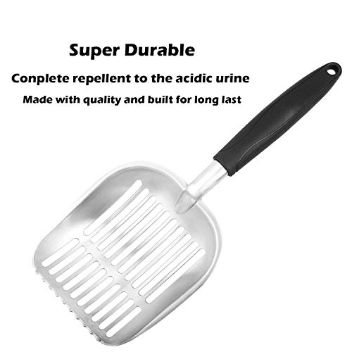 https://m.media-amazon.com/images/I/41dgn7PQsDL._SL500_.jpg