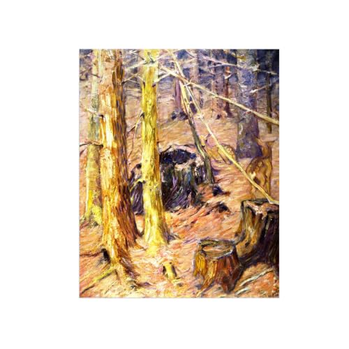 Impressions sur toile forest 95x80cm œuvre d'art haut de gamme sans cadre