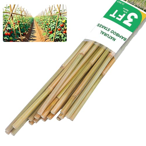 3ft Natural Bamboo Plant Stakes for Tomatoes, Beans, Flowers, Potted, Climbing Plants 25pcs