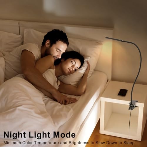 Image of Desk Lamp with 3 Color Modes and 5 Brightness Levels, Reading Light for Reading