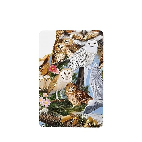 tNE ԗpF p[\iCYꂽXCX J[A}Zs[^ubg ݂艺F܃J[h [vt 4 ԂƂ̑p