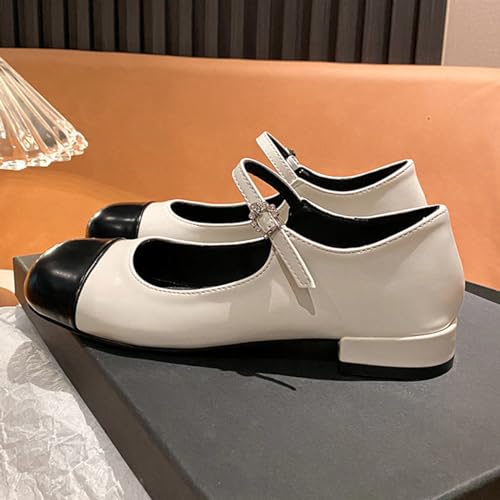 MRKEWUNEY Elegant Mary Jane Shoes Women Chunky Block Low Heel Dress Shoes for Women3