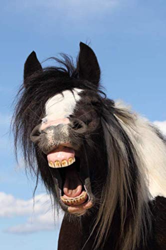 Gypsy Cob Notebook: Notebook 6x9 with 120 pages squared paper