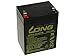 LONG PBLO-12V002,9-F1A - Batteria al piombo acido, 12 V, 2,9 Ah, F1 (WP2,9-12TR), 12 V