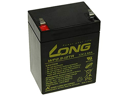 Batteria AGM VRLA 12V 2,9Ah - Senza Manutenzione, Per UPS E Allarmi