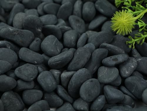 ōKʍ Kʐ ې VRʍ ߒqΕ  i10~15mmj (1KG)