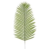 Deco Woerner