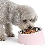 Tilted Slow Feeder 15°...