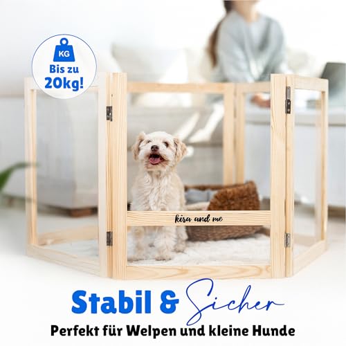 Emma Hundelaufstall Welpenauslauf [Massivholz Acrylglas] Welpenlaufstall mobiler Hundezaun | modernes Design | 60cm hoch