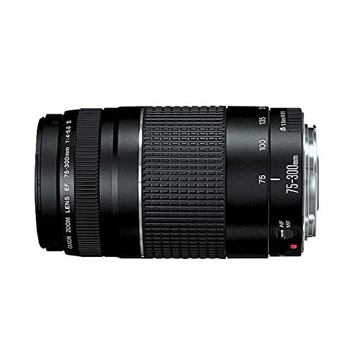 Lente EF 75-300mm f/4-5.6 III, Canon, Preto