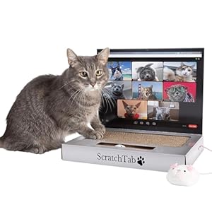 ScratchTab Katzen-Laptop Kratzspielzeug mit Spielmaus