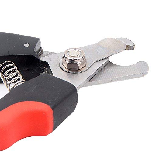 Qumy Dog Nail Clipper And Nail File For Medium To Large Pets Non-Slip Handles Easy Grip Sharp Stainless Steel Professional Pet Nail Trimmer #TOP7
