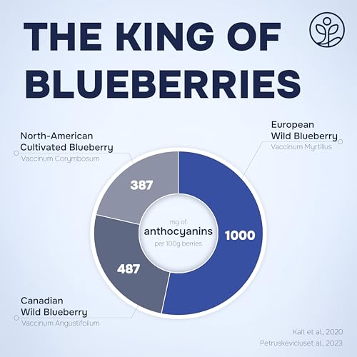 Organic Blueberries Fresh Freeze Dried Fruit 4 Ounce Bag - Made From Frozen Wild Dried Blueberries No Sugar Added Dehydrated Handpicked Blue Berries - Organic Blueberry Powder for Baking Dry Bilberry