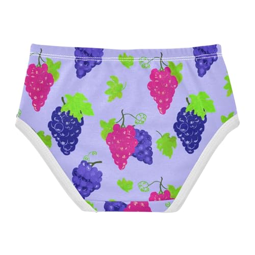 Grape Clusters Purple Blue Toddler Underwear Floral 2t Cotton Little Girl Panties Personalized Undies Kids Briefs2