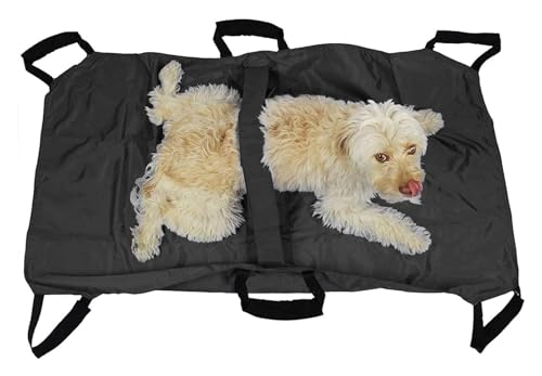 Tragbarer Pet Stretcher für Hunde – Notfall-Tiertransport-Bahre mit Sicherheitsgurt, faltbar & leicht, sichere Tragelösung in Blau, Einheitsgröße