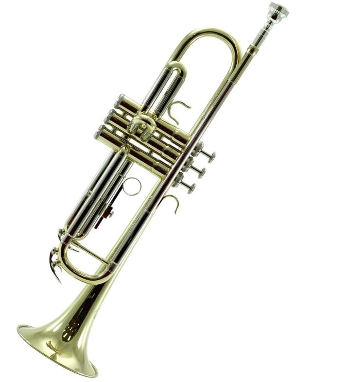 Sky Gold Plated Brass Bb Trumpet with Case, Cloth, Gloves, and Valve Oil, Gold