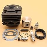 Ersetzt OEM für: 503168301 / 503 16 83-01