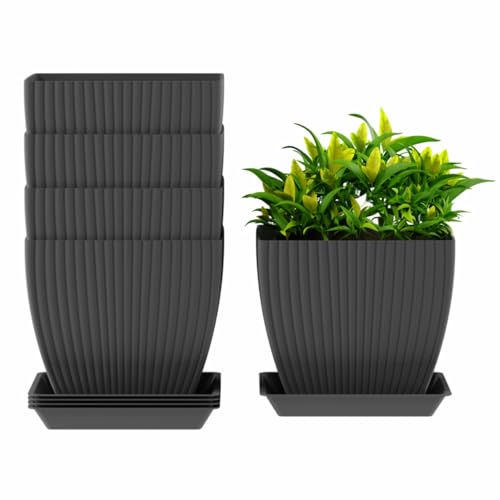 Image of HOMIFLY 5 Pack Plastic Square Flower Pots with Drainage & Bottom Tray /Lightweight, UV & Weather Resistant /6.5 Inch Planters for Indoor /Outdoor /Home /Balcony /Terrace /Garden Plant Pots (Dark Grey)