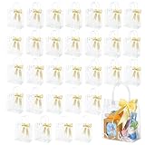 WhizToys 30 PCS Transparent Party Favour Clear Plastic Gift Bags with Handles, 5.9x6.3x2.8Inches, Clear Mini Tote Goodie Bag Bulk PVC Plastic Bags with Handles and Ribbon for Gifts Weddings Birthdays