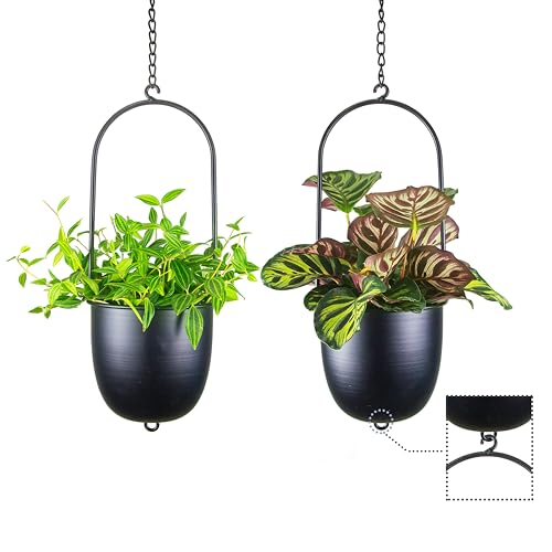 Image of Metal Hanging Planters Set of 2 with 6 Inch Oval Pots - Stackable and Connectable Plant Hangers - Black Modular Wall and Ceiling Mount Holders for Indoor and Houseplants
