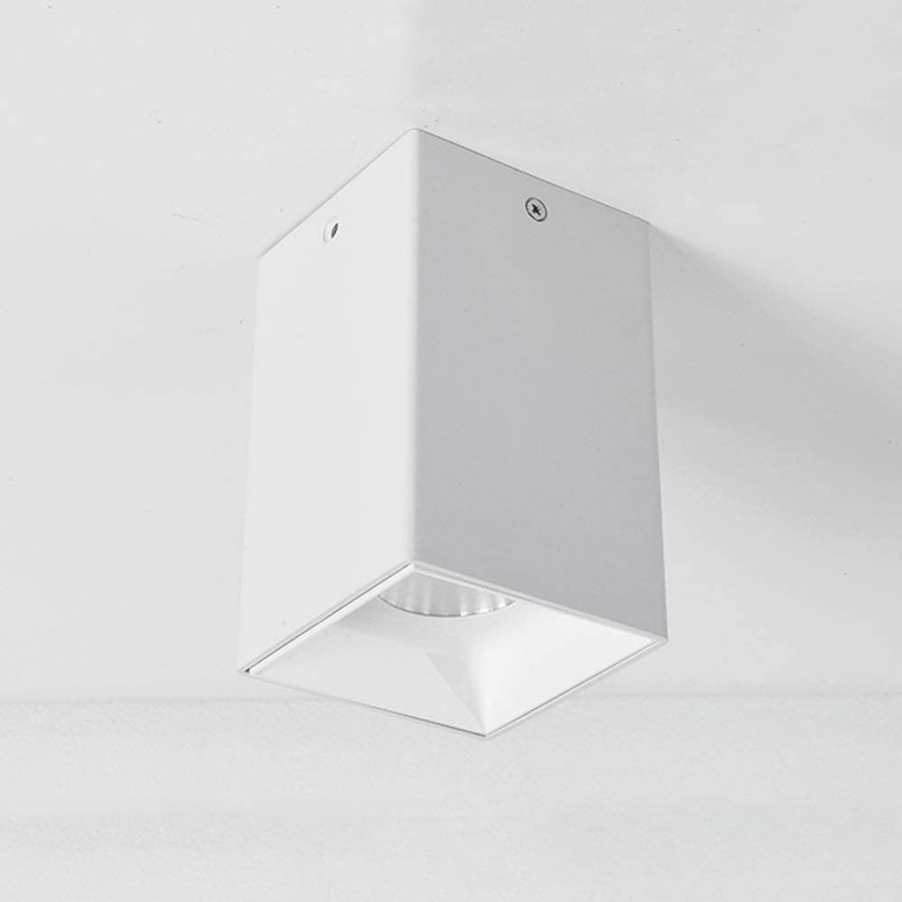 Nowoczesna lampa sufitowa LED, lampa sufitowa Nordic, pojedyncza lampa do przedpokoju, podjazdu, ganku, oświetlenia ściennego w tle, skraplacz 4000K, naturalna biel na zewnątrz/30 W