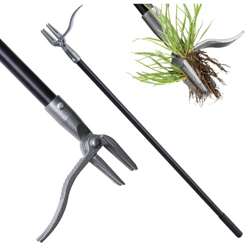 KNLLFolan Weed Puller, Stand Up Weed Puller Tool with Steel Long Handle, 4 Claw Steel Head Weeder Tool, Handle Weeder Tool Without Bending, Pulling, or Kneeling
