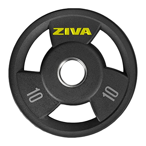 ZIVA 10 lb Grip Disc