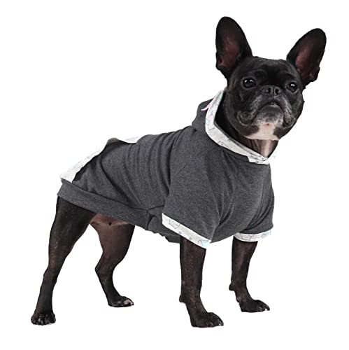 Pickorruchos Moleton Baby Girl Para Cães - Tamanho 03