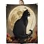 Moonlit Cat