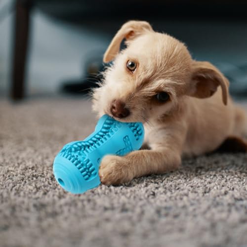Juguete masticable para cachorros de goma azul interactivo inteligencia 7