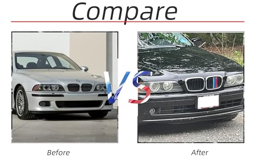 Image of Grille color stripes Compatible accessories 1995-2003 E39 5 Series Kidney Grille 10-Beam