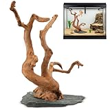 Large Driftwood for Aquarium, 8.5-11.5 Inch Spider Wood on Slate Stone, Natural Spiderwood Aquarium Driftwood Aquascaping Wood for Reptile Enclosure, Terrarium, Vivarium, Reptile Tank, Fish Tank Decor