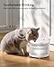 HomeRunPet Wireless Pump Cat Water Fountain - Detachable Design for Easy Cleaning, Multi-Cat Water Dispenser with Chew-Proof Base