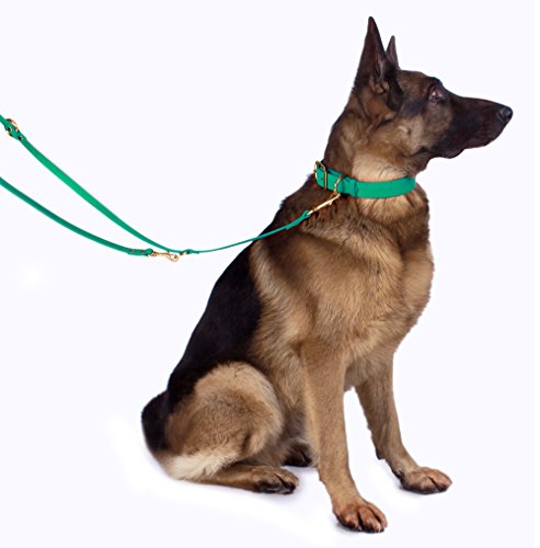 Bronzedog Leather Dog Collar With Buckle Durable Basic Pet Collars For Small Medium Large Dogs Puppy Cat Kitten (Neck Size 17" - 21", Light Brown) #TOP4