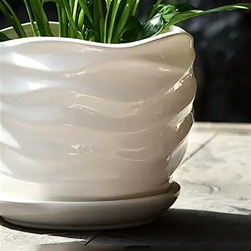 Pots de fleurs design de vague pour succulentes sur table basse de salon - 4