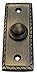 Adonai Hardware Rectangular Georgian Brass Bell Push or Door Bell or Push Button (Antique Brass)