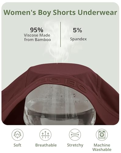 Women's Boyshorts Underwear Moisture Wicking Boxer Briefs Bamboo Viscose Soft Stretch Panties 3 Pack4