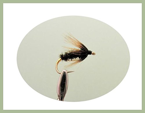 6 Pack of Coch Y Bondhu Wet Fishing Flies, Choice (10/12)