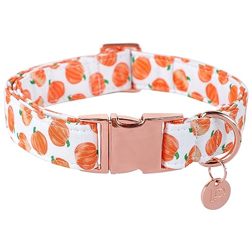 Image of Halloween Dog Collar with Metal Buckle Gift Fall Dog Collar for Small Medium Large Girls or Boys Dogs Cute Pumpkin Cotton Pet Collars