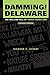 Damming the Delaware: The Rise and Fall of Tocks Island Dam (Volume 0)
