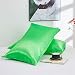 ABZPH Moda Funda de Almohada de Seda sólida Anti-Deslizamiento Liso 100% Satinado Reina Funda de Almohada Cubierta King Tamaño Doble Cama casa Blanca Suave y cómoda para el hogar del Dormitorio