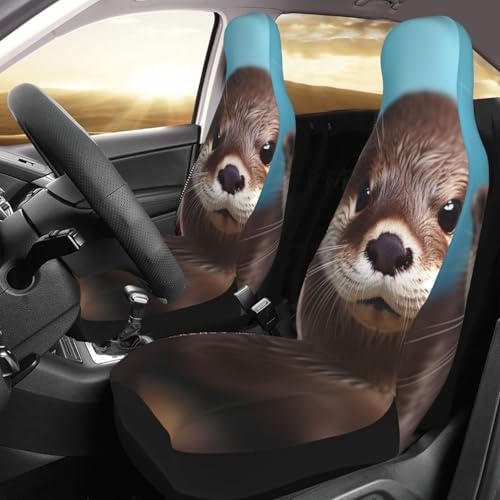Housses de siège avant de voiture mignonnes et imperméables pour protection universelle (Lot de 2)