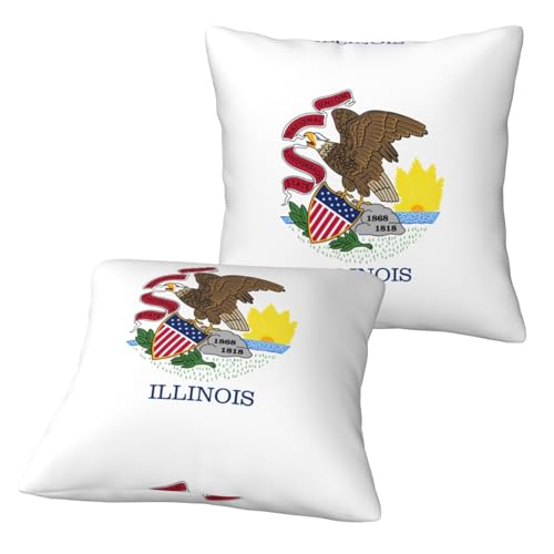 Housse de coussin imprimée drapeau Illinois pour lit et canapé extérieur - 4