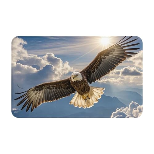 MXDLKSWPOH Door Mat Low Profile Welcome Mats No-Slip Entrance Rugs Washable Front Door Mat Eagle Doormat Floor Mats Bathroom Rugs Indoor Outdoor Doormat for Hallway Home Office 80 x 49 cm