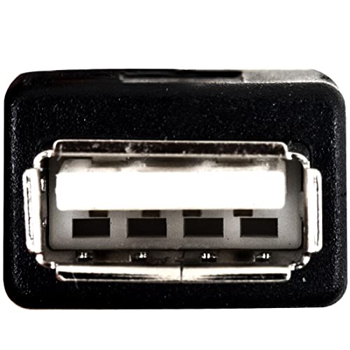 risingsaplings PC Female USB Converter Adapter Cable Cord for Original Xbox Console Gen.1 Console About 30.5in Length (1 PCS)