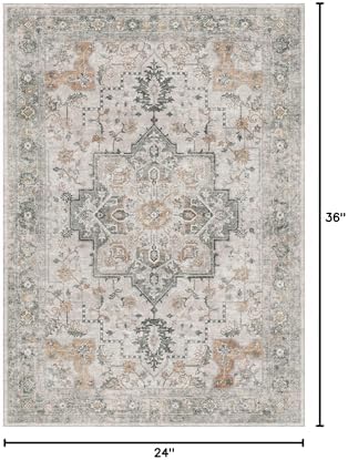 GENIMO Area Rug 2x3 Doormat, Machine Washable Low Pile Rugs, Small Retro Chenille Entryway Mat for Entrance, Hallway, Kitchen and Corridor, Light Taupe Brown