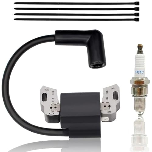 593872 Ignition Coil with Spark Plug