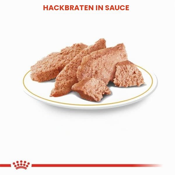 Royal Canin Dachshund Adult Mousse | 12 x 85 g | Alleinfuttermittel für Hunde | Ausgewachsene Dackel