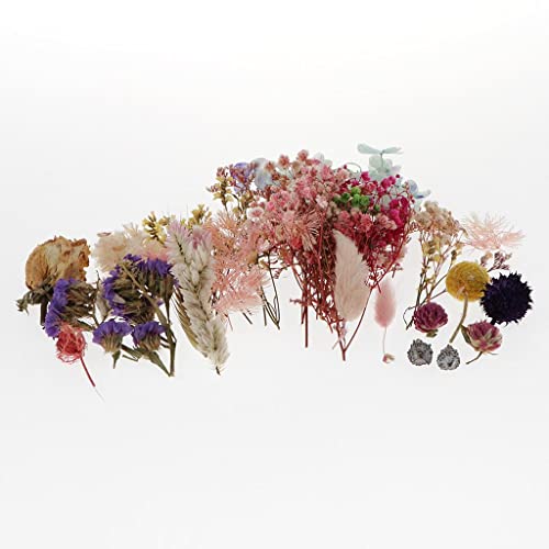 10 piezas flores secas naturales para manualidades miniatura 3
