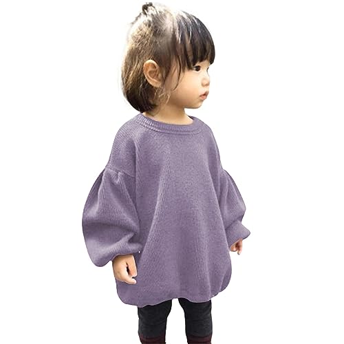 GRNSHTS - Toddler Baby Girl Sweater - Round Neck Loose Long Sleeve Knitted Pullover Tops, Light Purple, 12-18 Months - Best Deal on Amazon